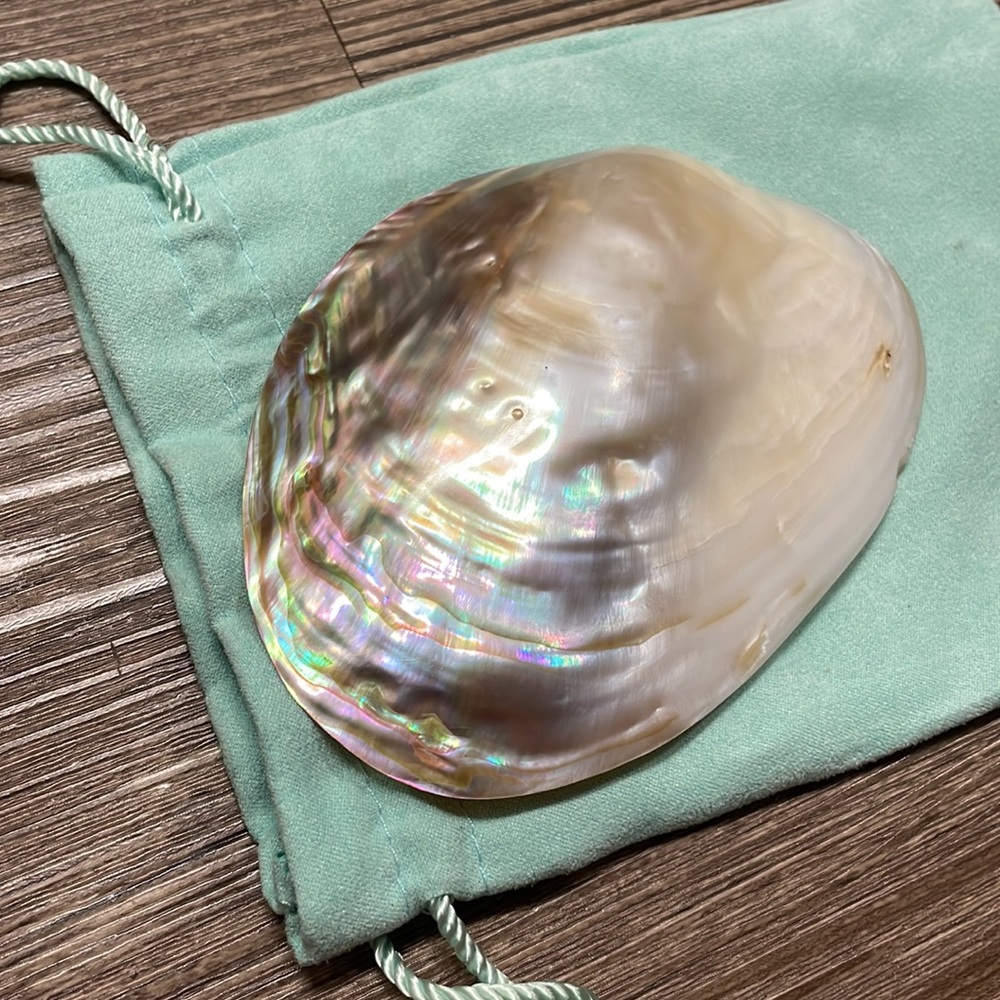 Large Shell Belt Buckle